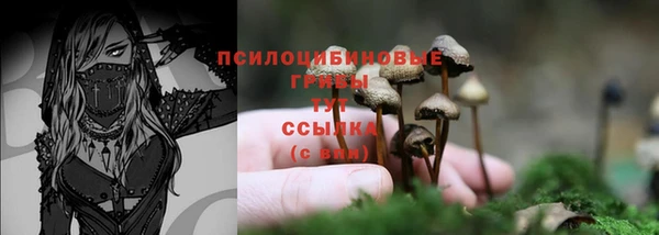первитин Волосово