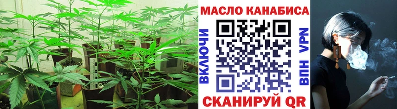 blacksprut зеркало  Нерюнгри  Дистиллят ТГК гашишное масло 