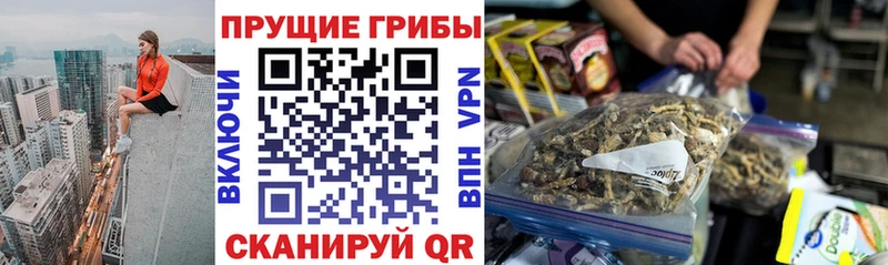 Псилоцибиновые грибы MAGIC MUSHROOMS  kraken как войти  Нерюнгри 